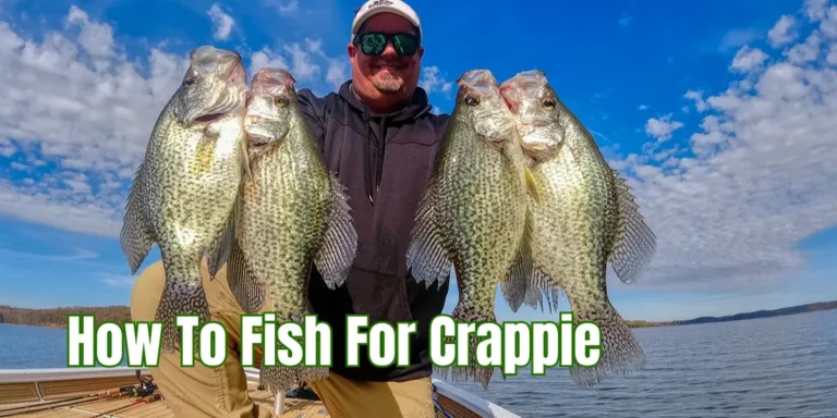 How To Fish For Crappie