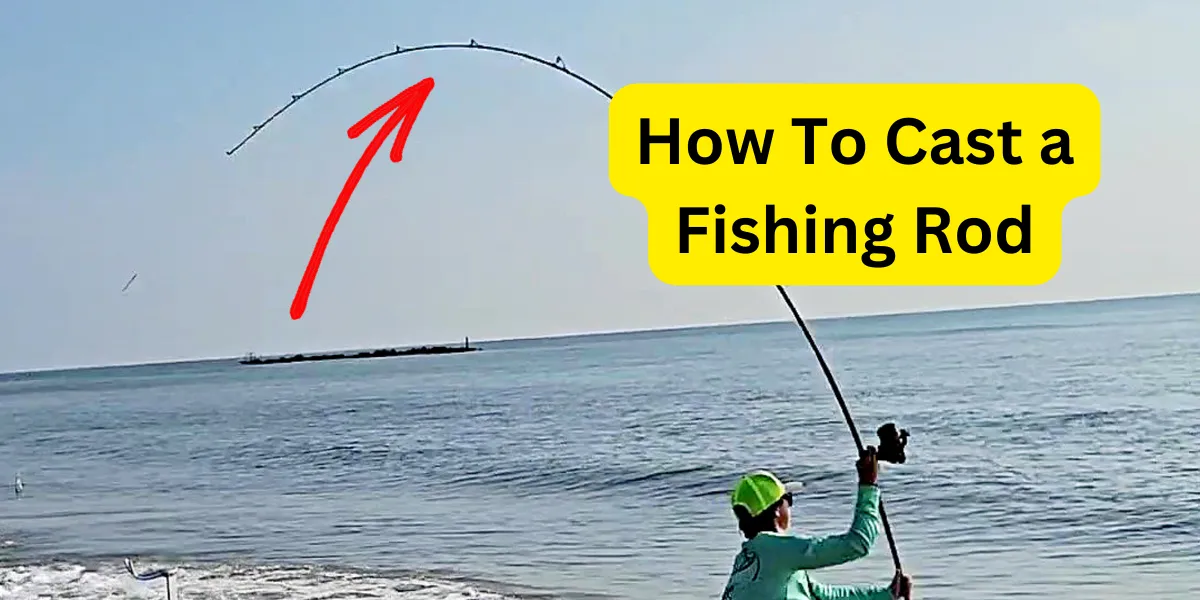 How To Cast a Fishing Rod