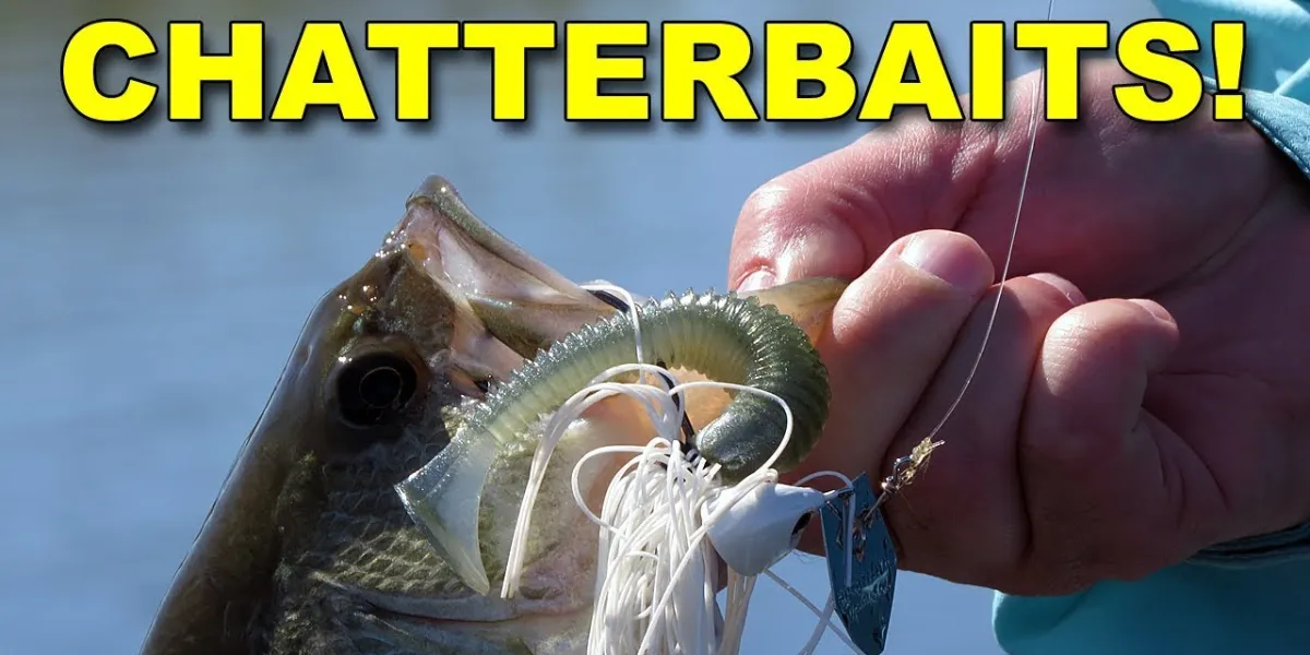 How To Fish a Chatterbait